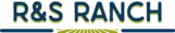 lettersonlylogo transparent nobuffer